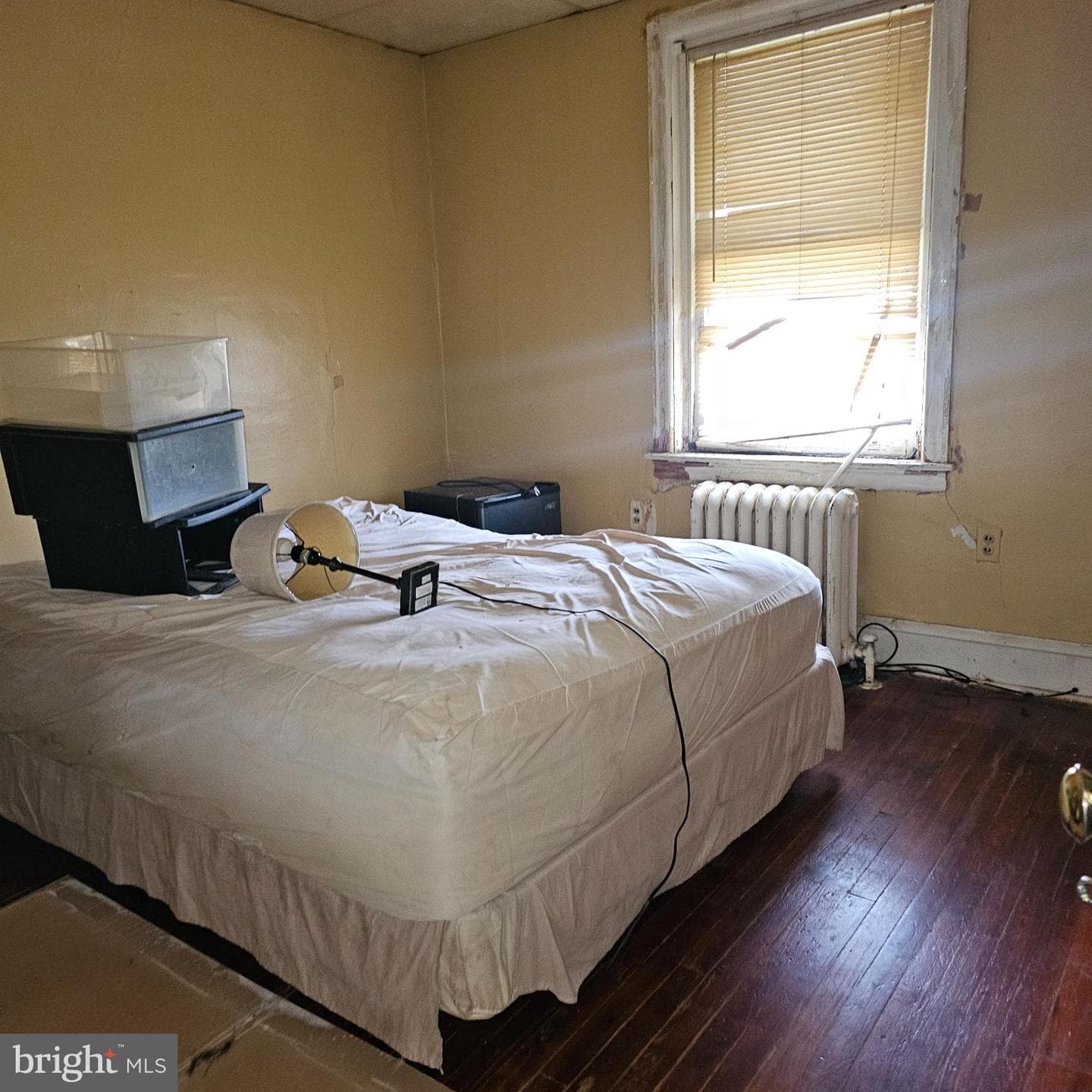 144 Fern Street photo 9