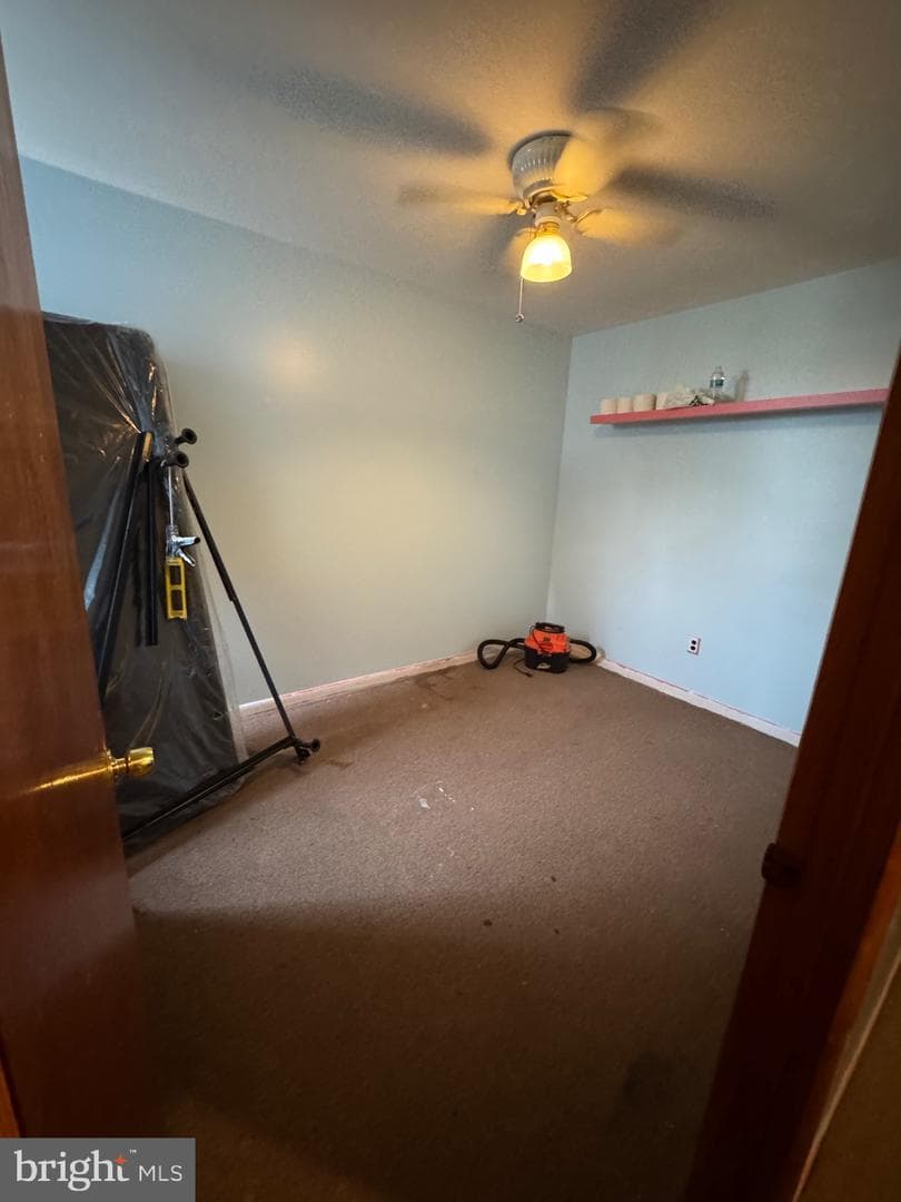 3013 Tulip Street photo 4