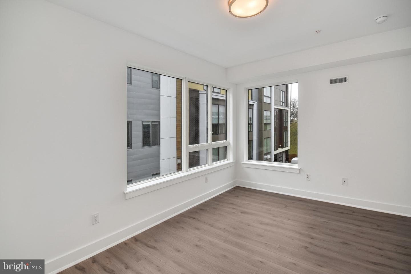 113 Olive Street photo 15