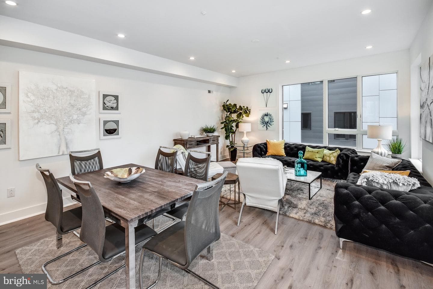 113 Olive Street photo 7