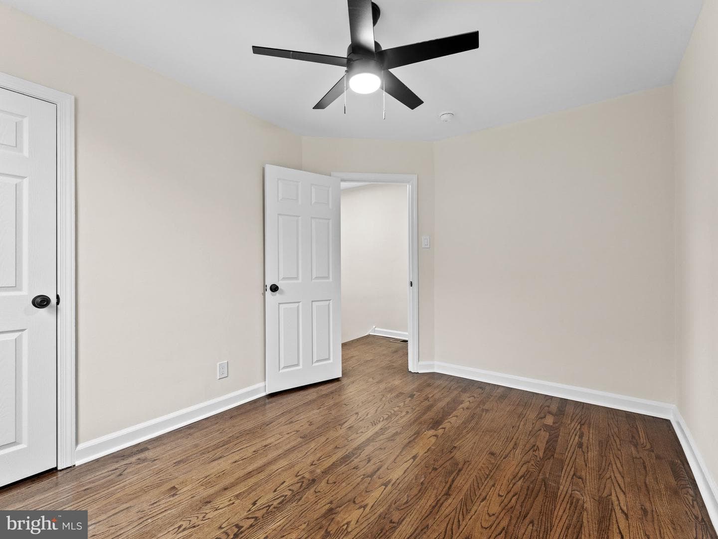 1007 E Dorset Street photo 23