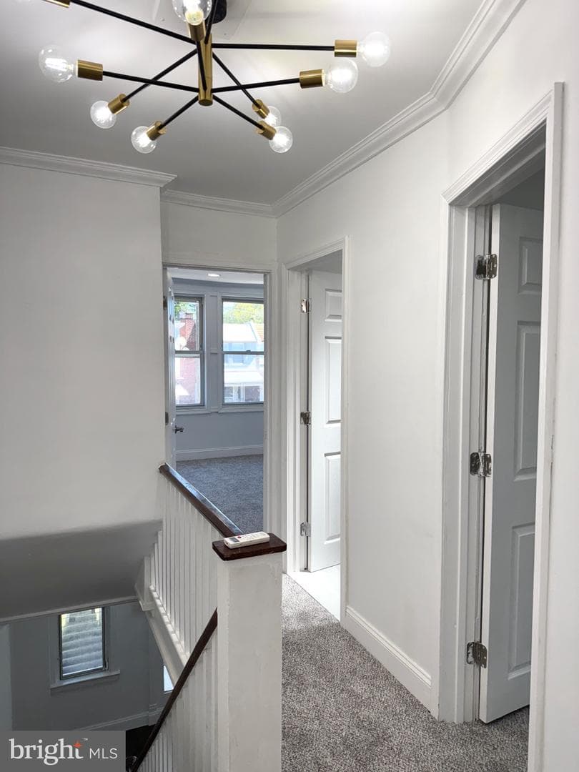 6824 Rodney Street photo 10