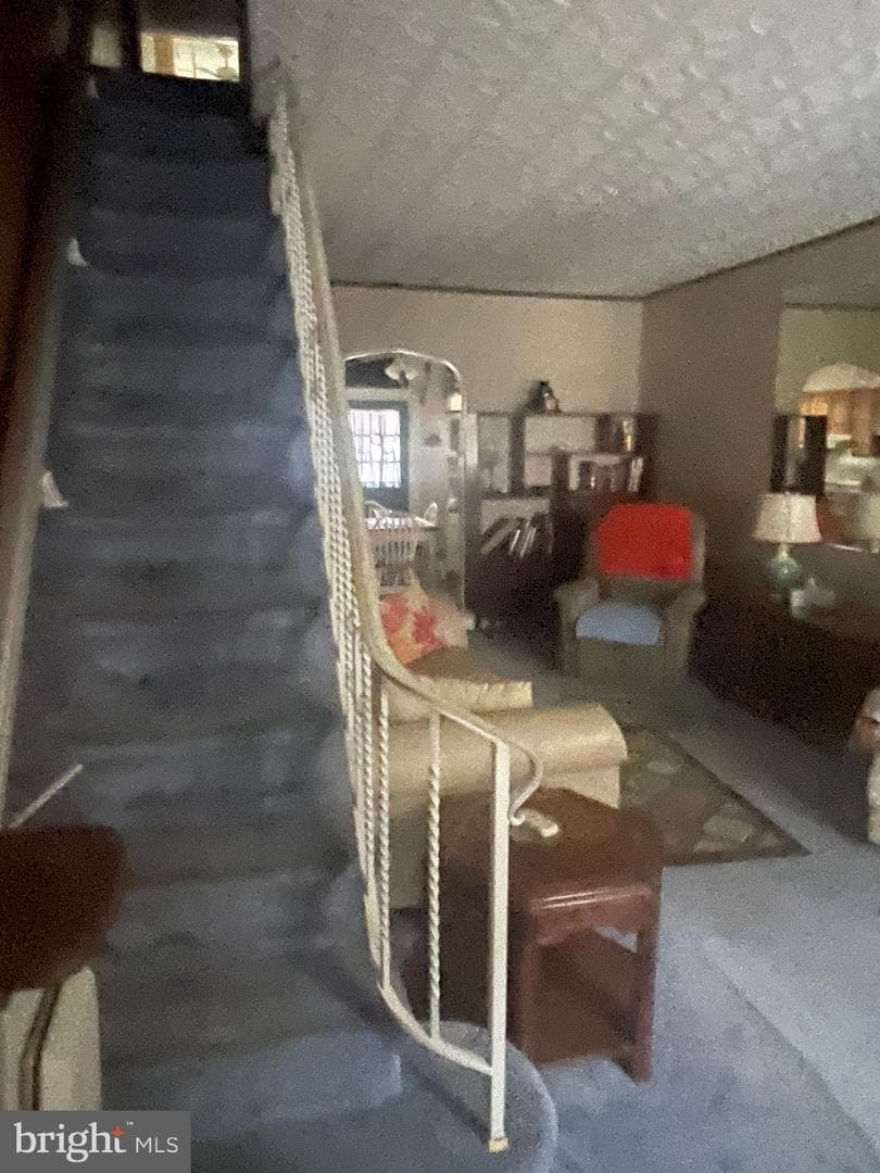 328 Fitzgerald Street photo 4