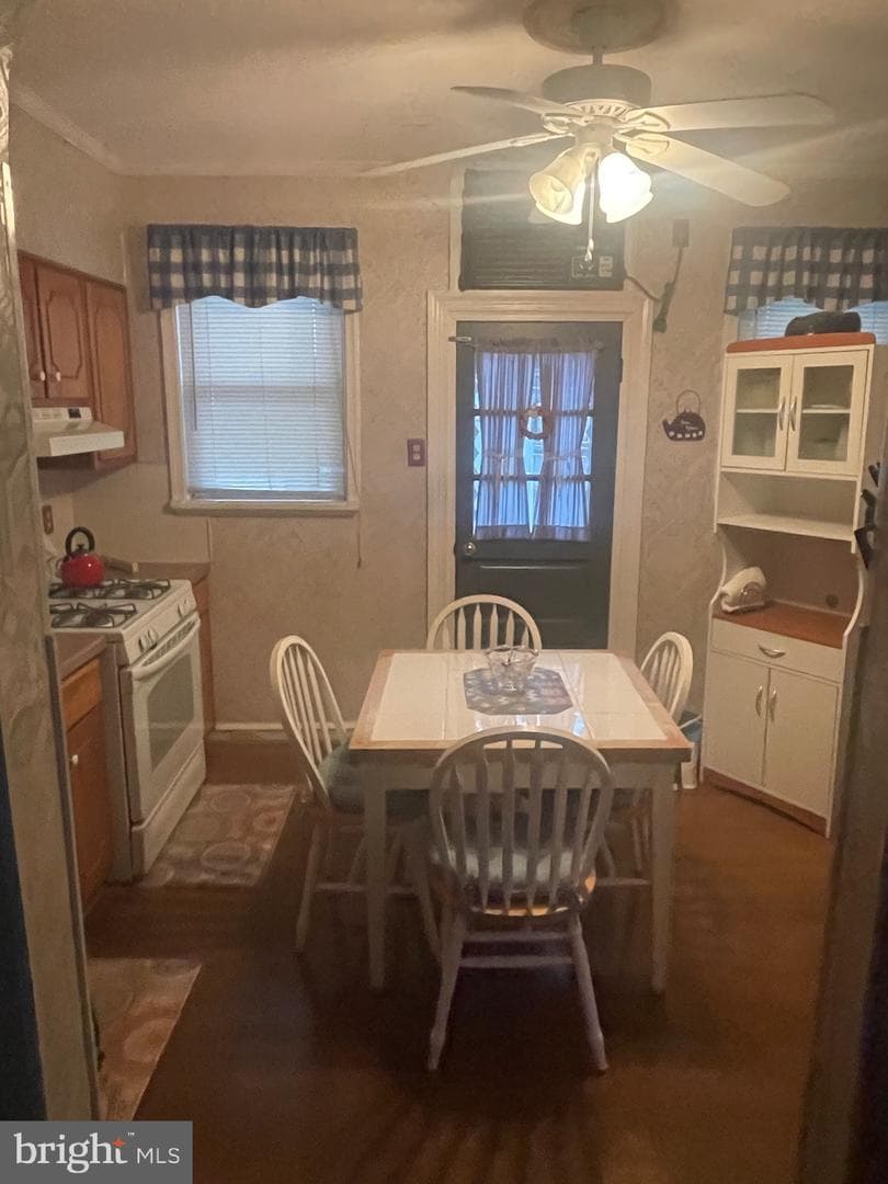 328 Fitzgerald Street photo 6