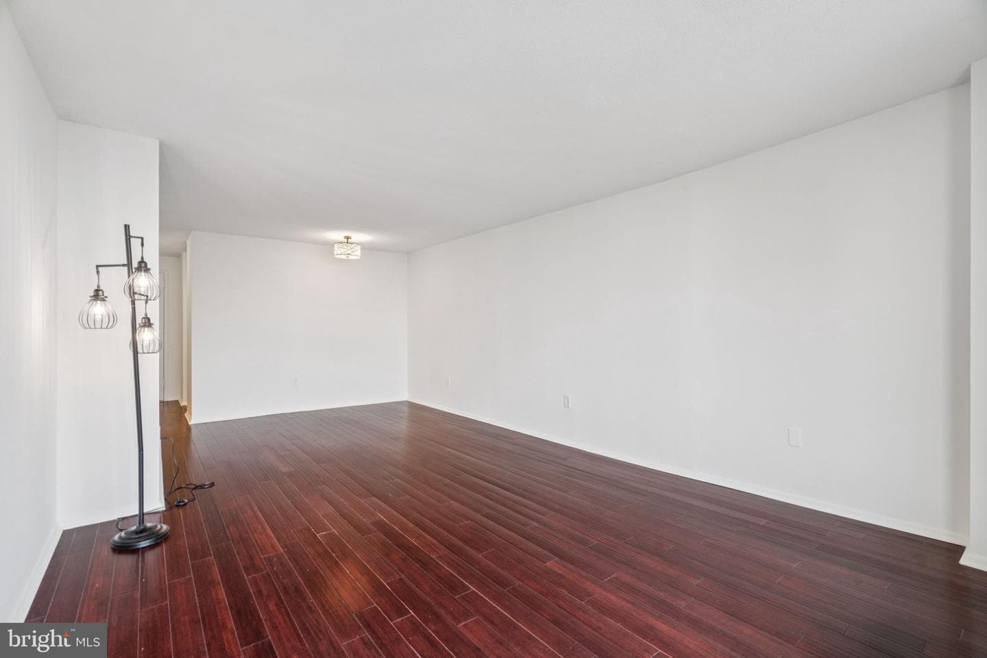 1420 Locust Street #28p photo 5