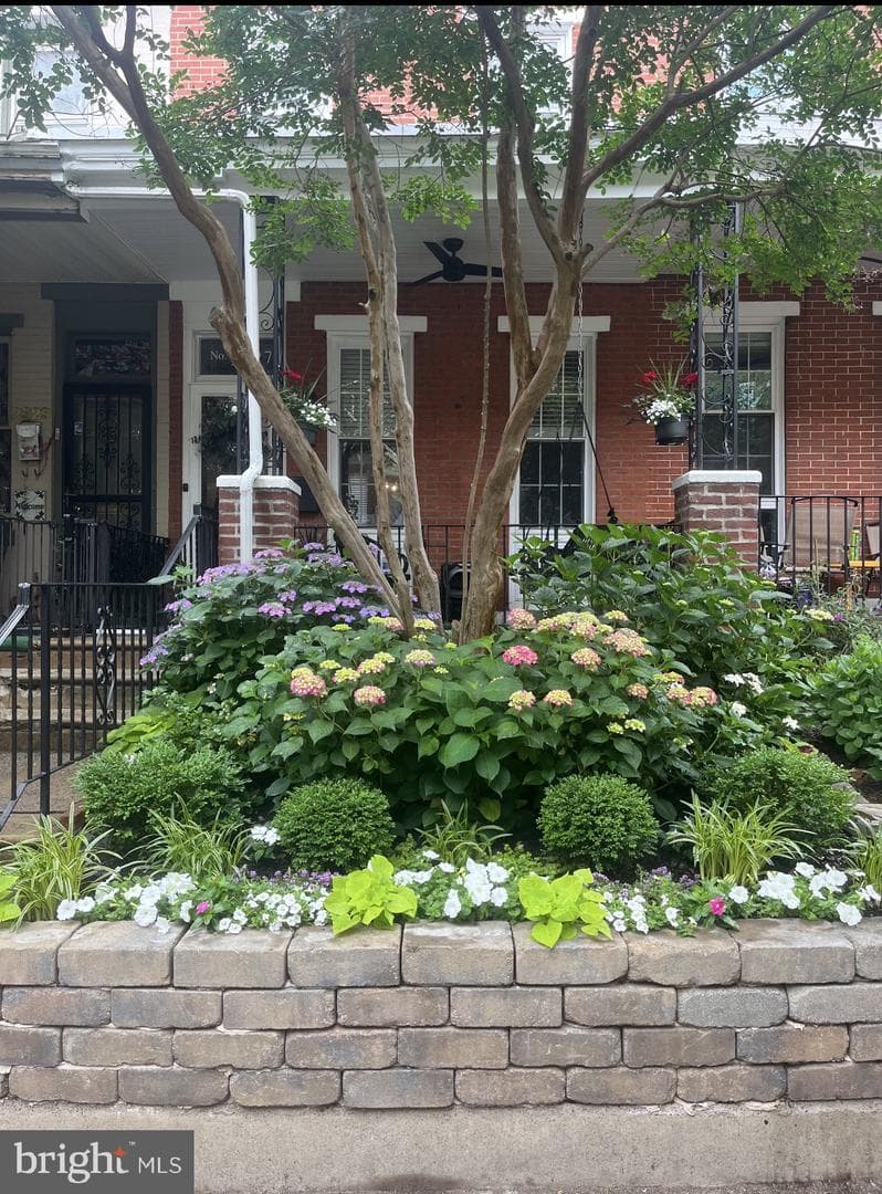2927 Cambridge Street photo 3