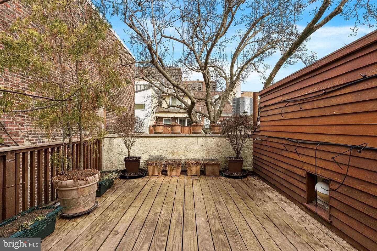 519 Pine Street photo 30