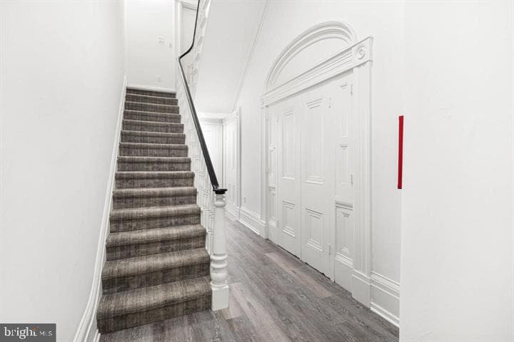 306 S 10th Street #d photo 24