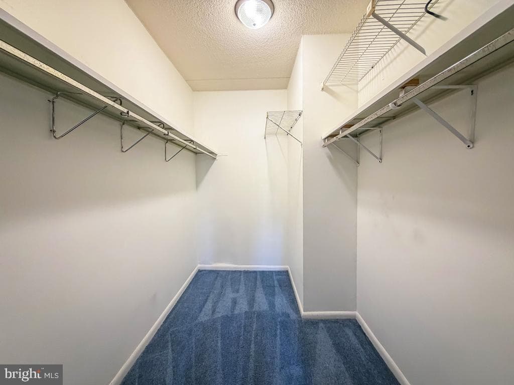 6105 Delaire Landing Road #105 photo 23