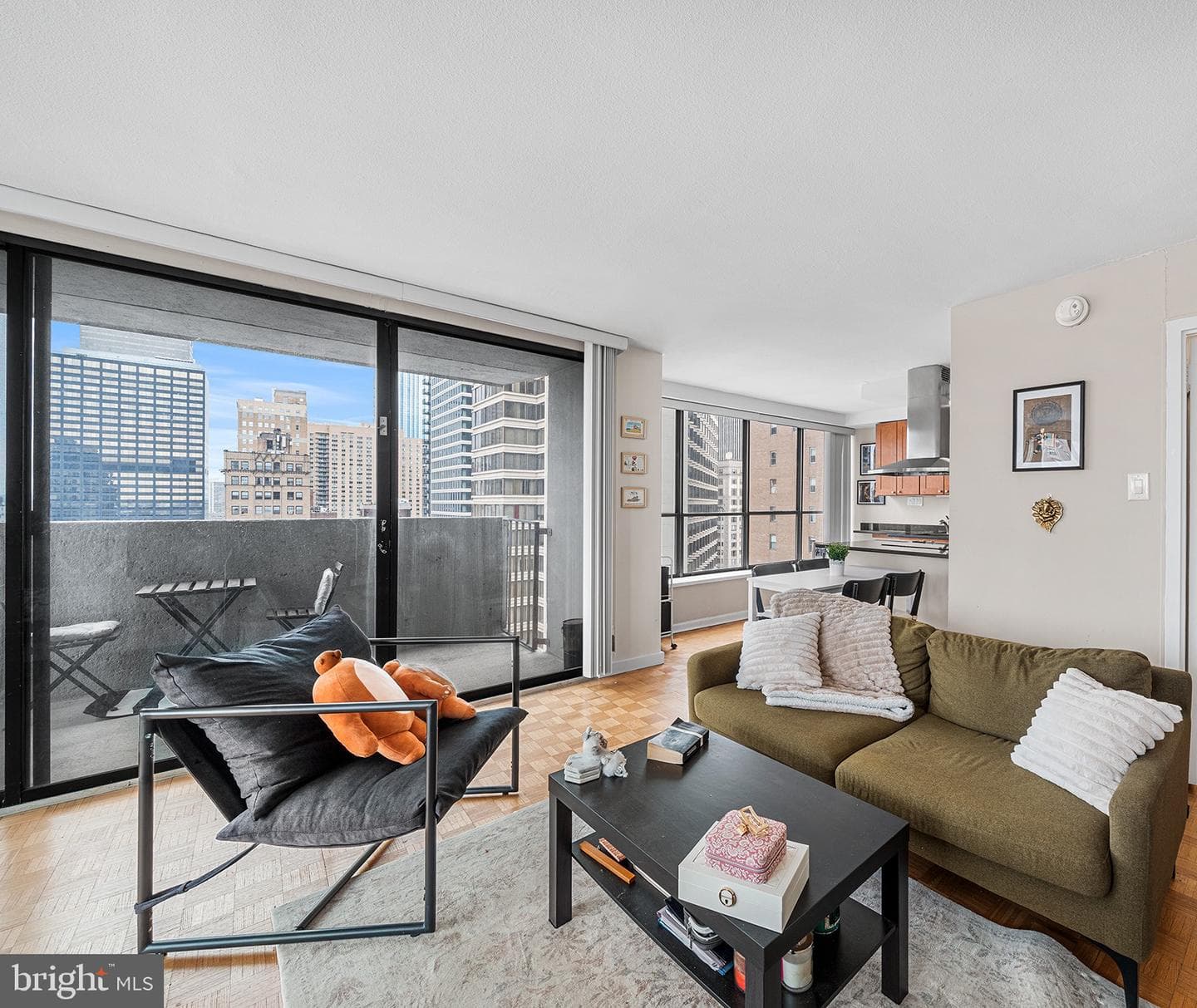 224 W Rittenhouse Square #1615a photo 10