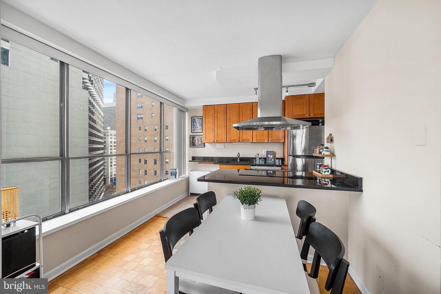 224 W Rittenhouse Square #1615a photo 22