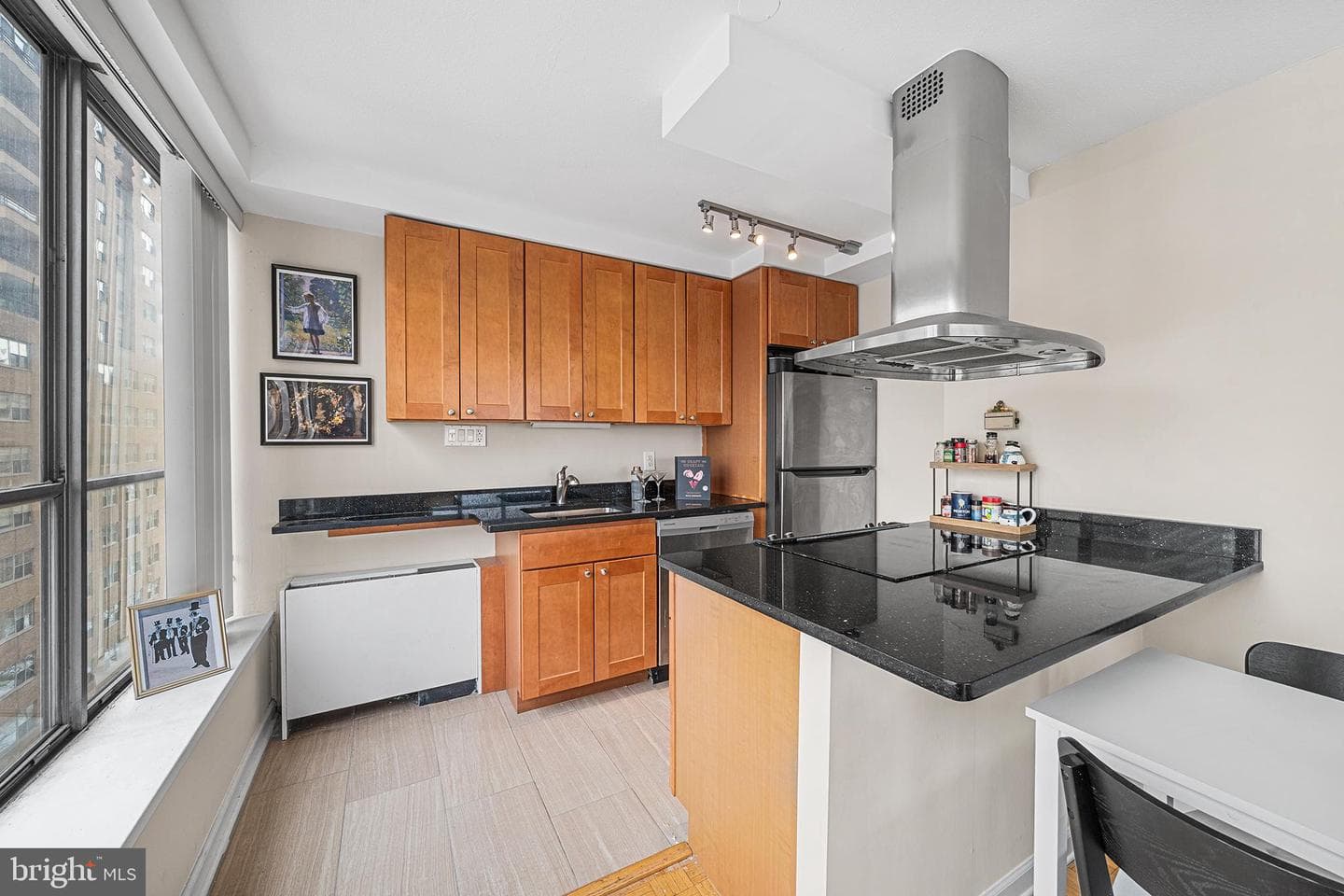 224 W Rittenhouse Square #1615a photo 25