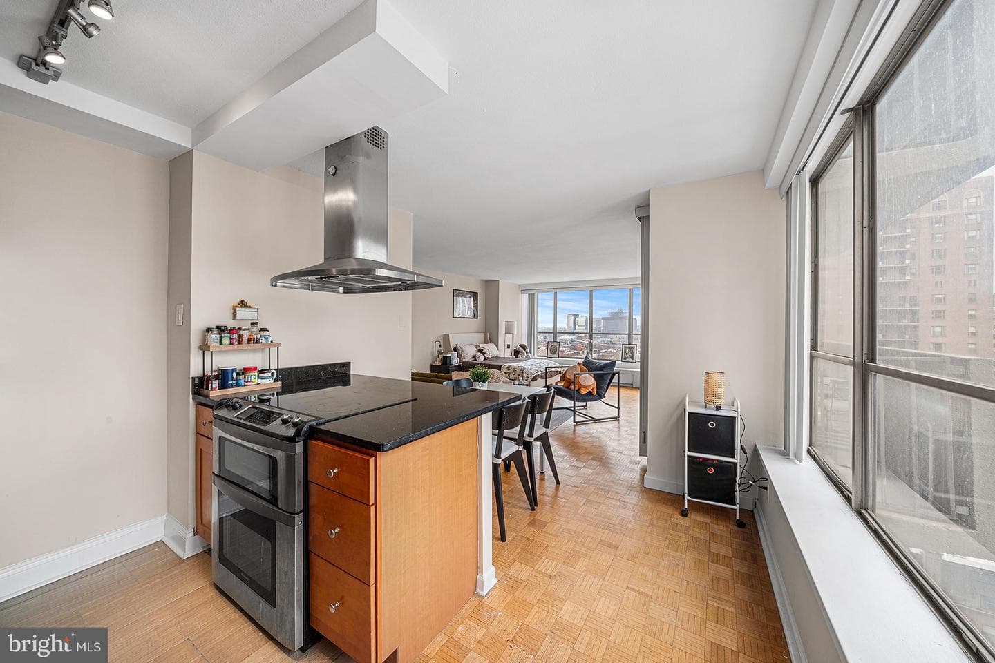 224 W Rittenhouse Square #1615a photo 28