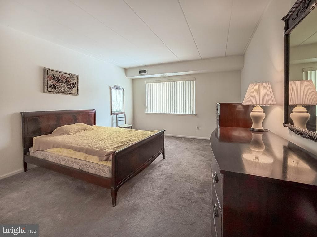 1103 Delaire Landing Road #1103 photo 14