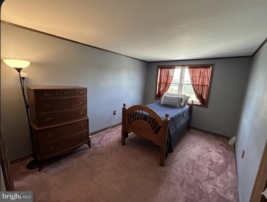 3243 Morrell Avenue photo 24
