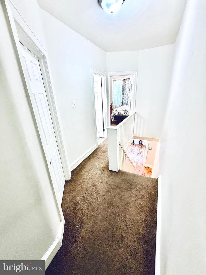 4777 Tampa Street photo 28