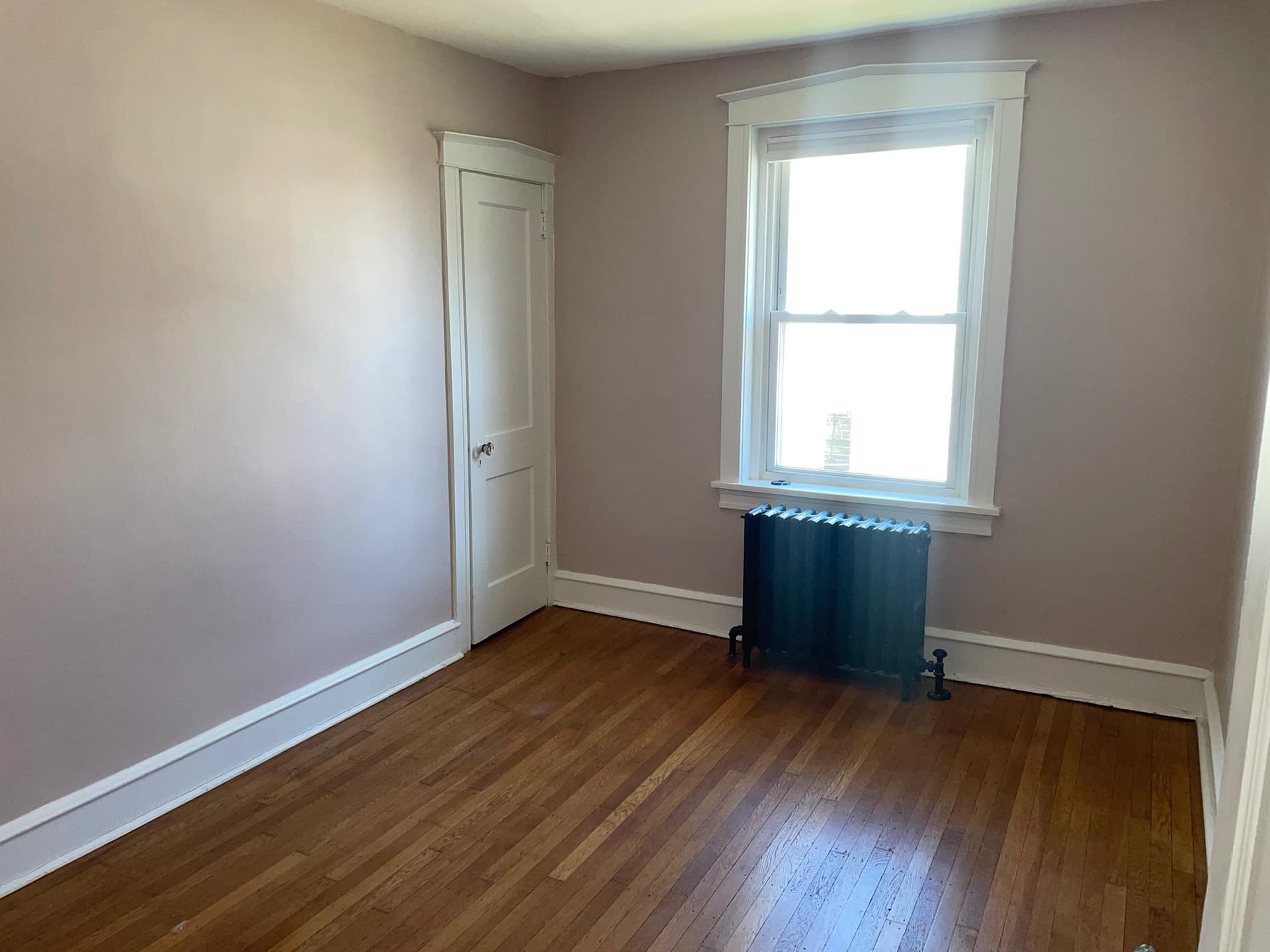826 E Dorset Street photo 13