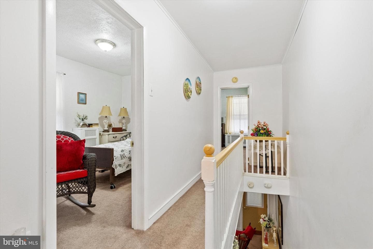 3543 Tulip Street photo 12