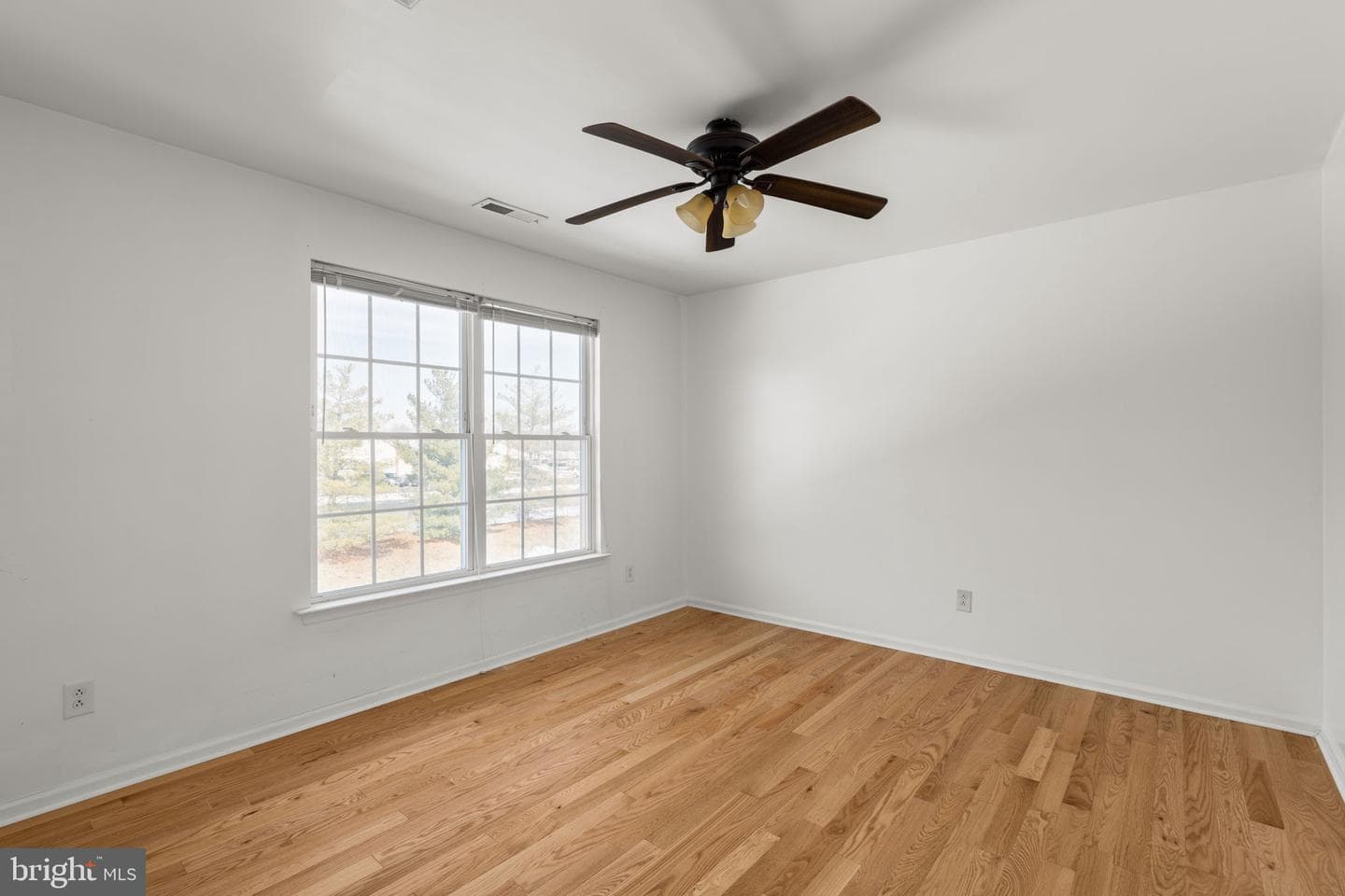 2719 Meyer Place photo 27