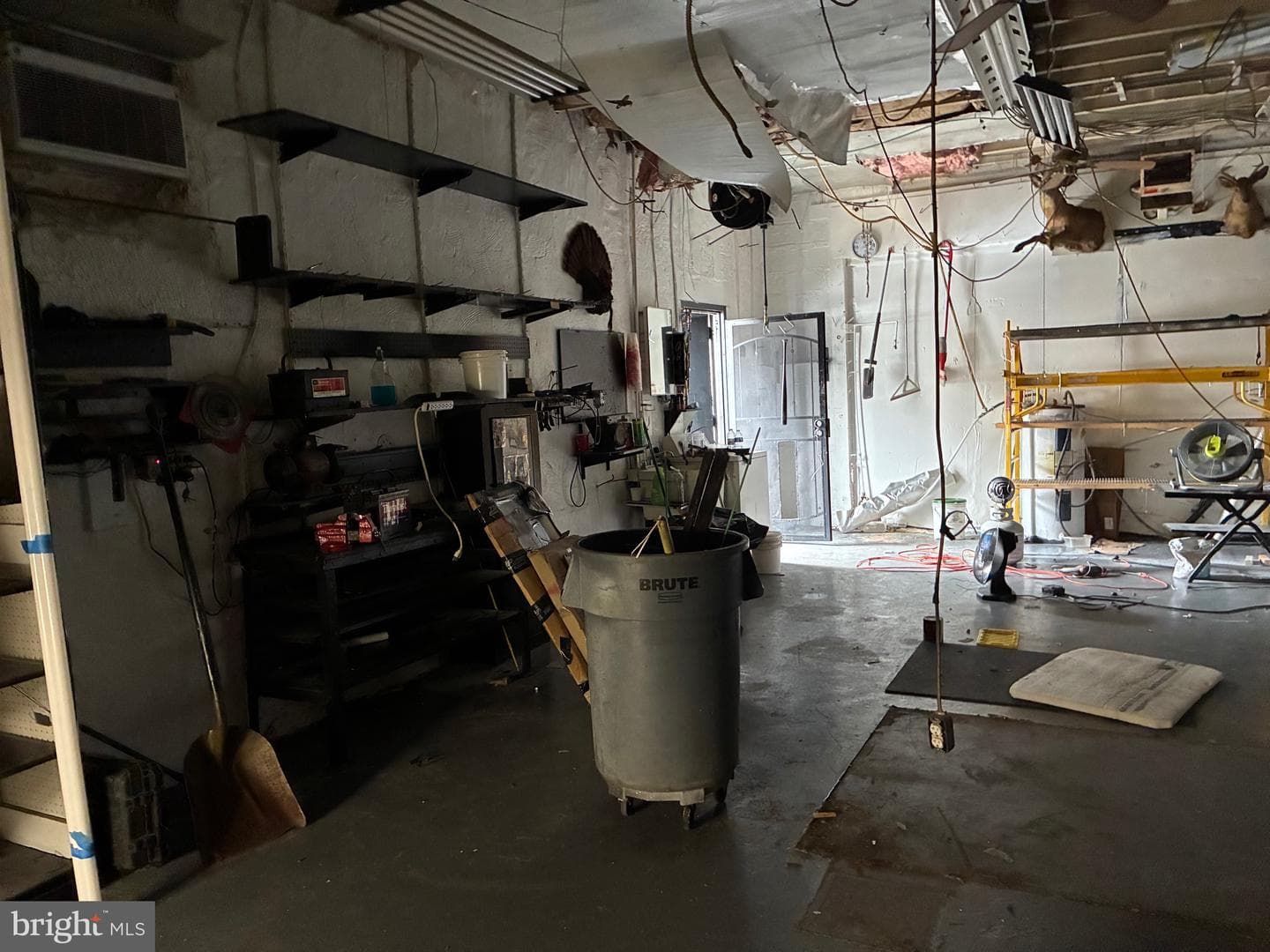 2629 E Hagert Street photo 8