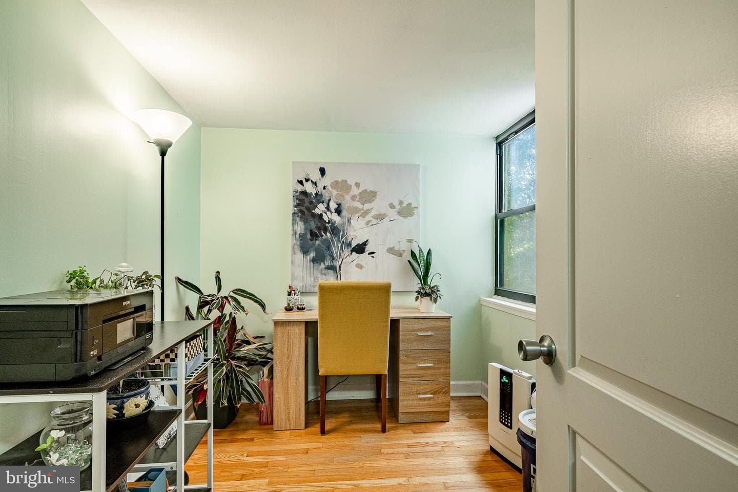 243 Shawmont Avenue #c photo 14