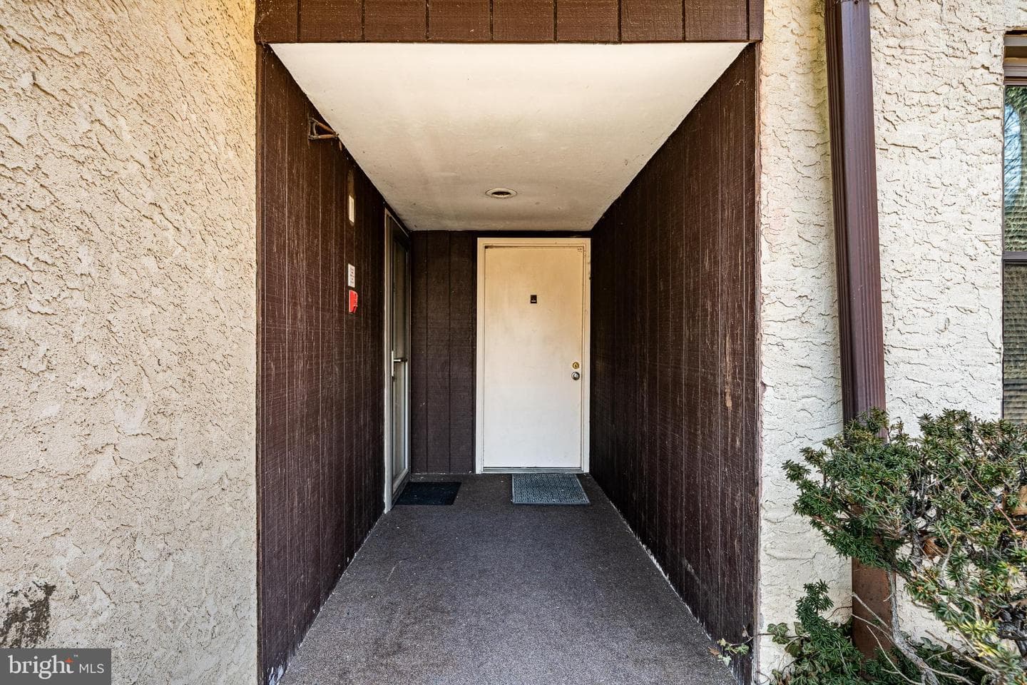 243 Shawmont Avenue #c photo 4