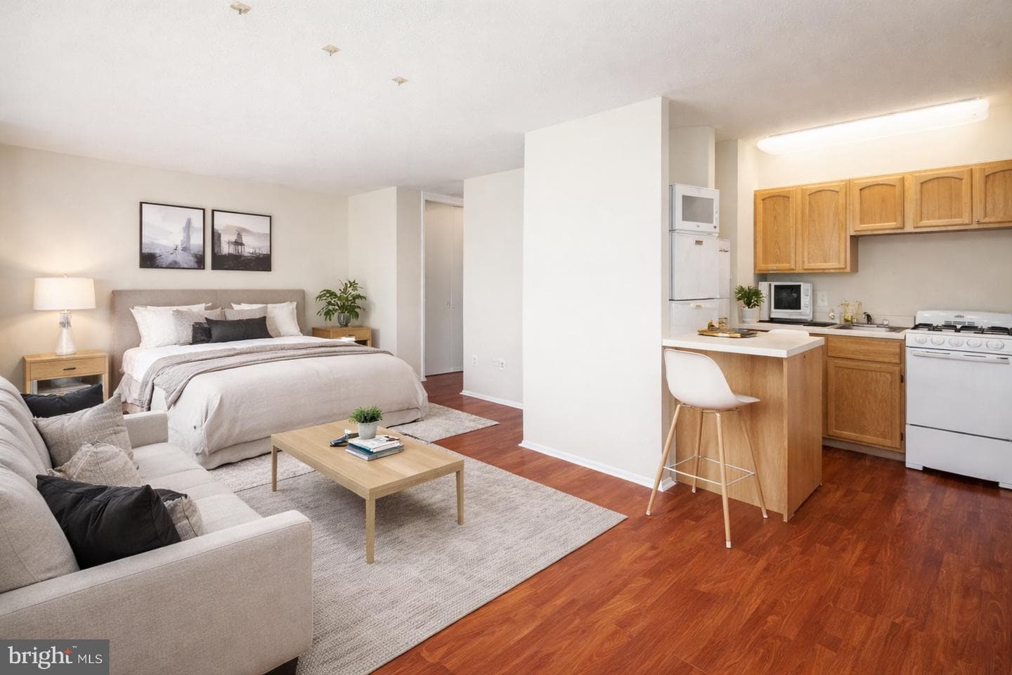 2101 Chestnut Street #1024 photo 1
