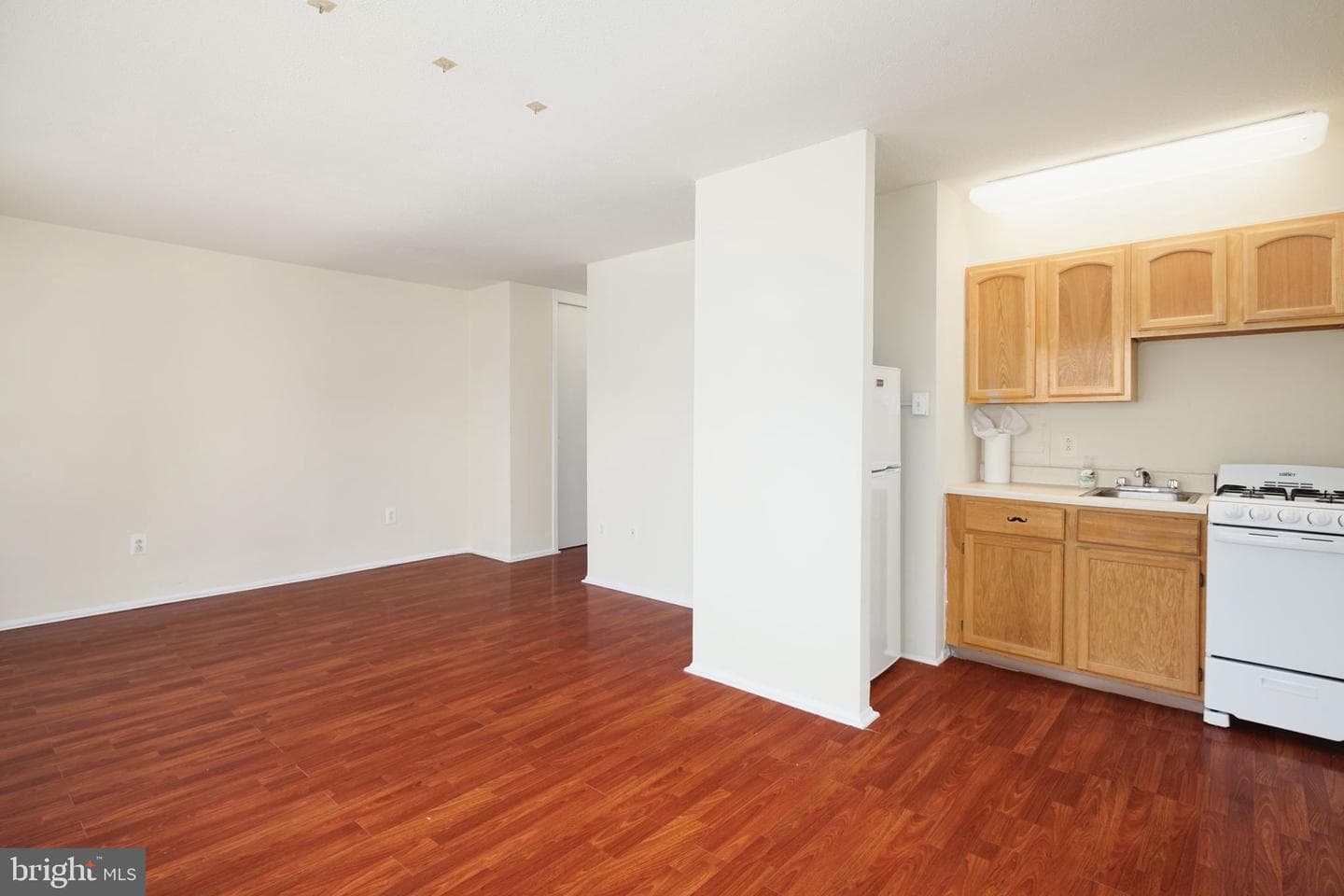 2101 Chestnut Street #1024 photo 2