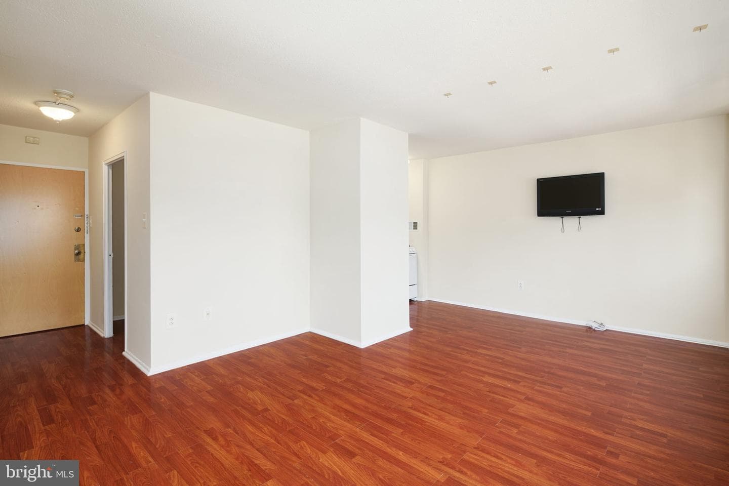 2101 Chestnut Street #1024 photo 5