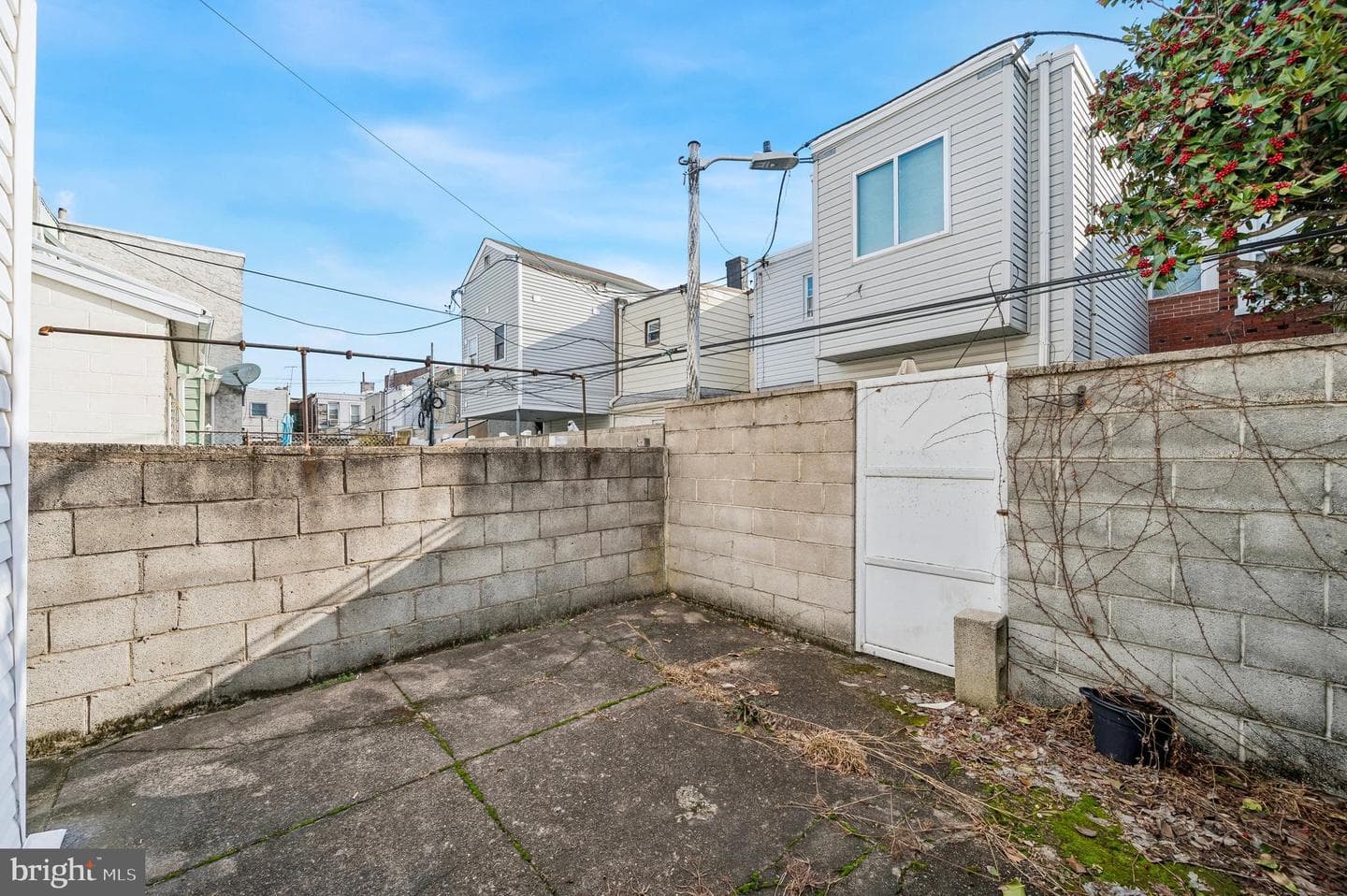 2427 S Mole Street photo 15