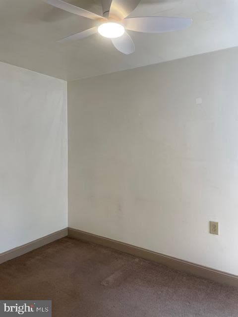 425 Ripka Street photo 24