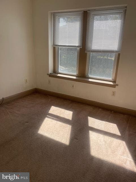 425 Ripka Street photo 28