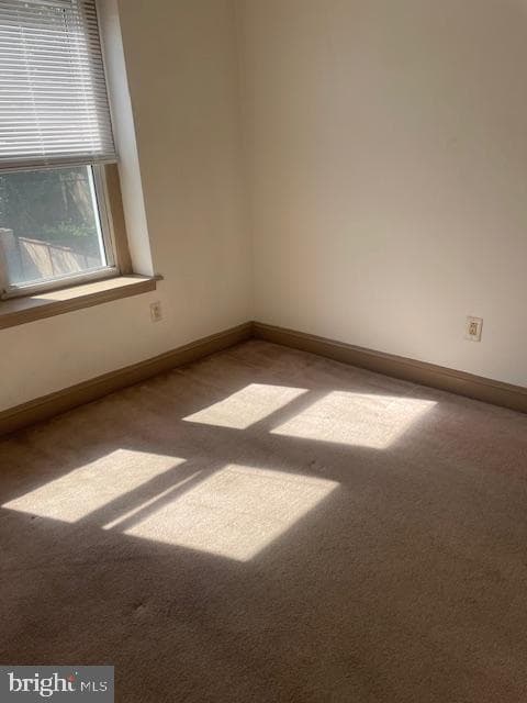 425 Ripka Street photo 30