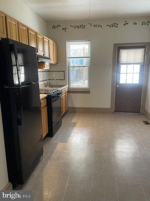 425 Ripka Street photo 9