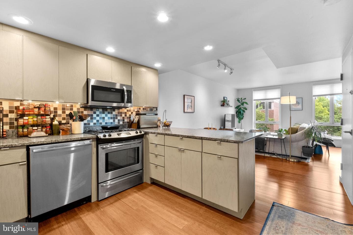 256 S 3rd Street photo 52