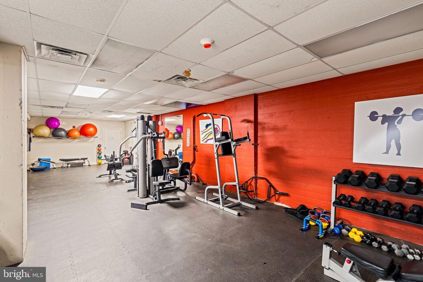 4643 Pine Street #c411 photo 51