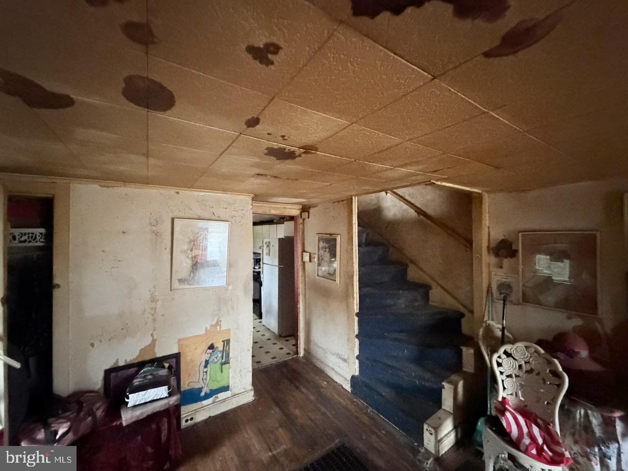 573 Shawmont Avenue photo 5