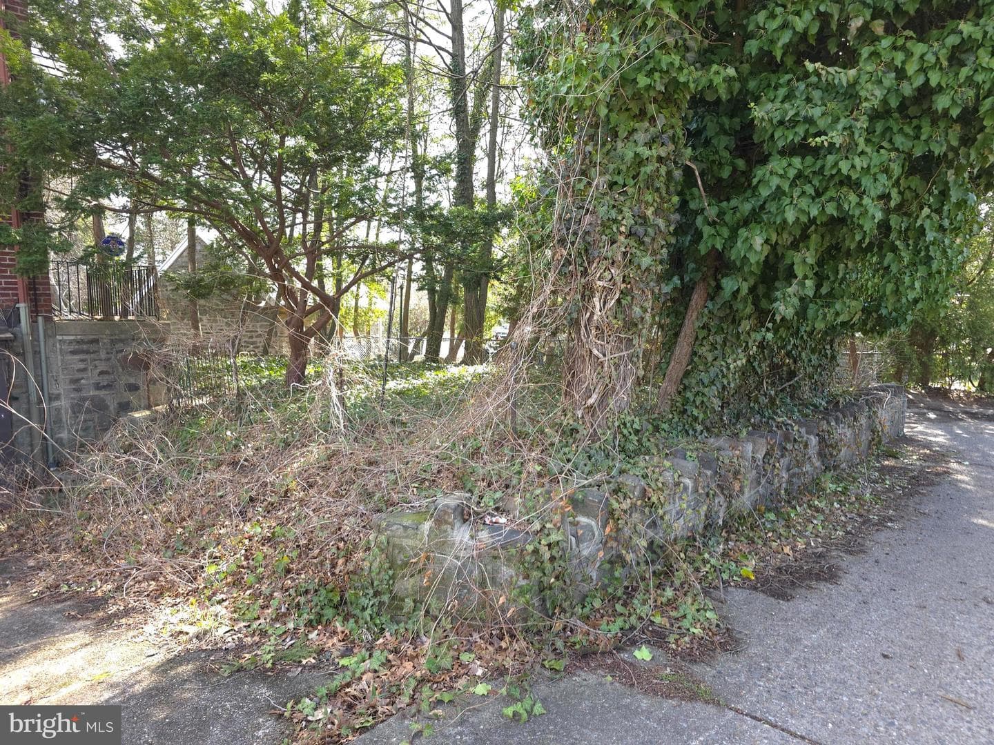 988 Allengrove Street photo 4
