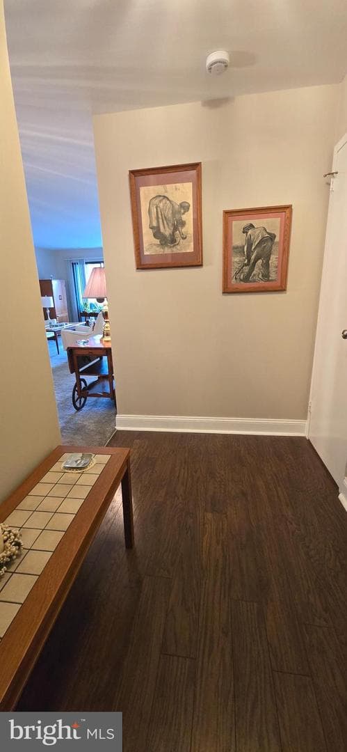 5100 Convent Lane #510 photo 3