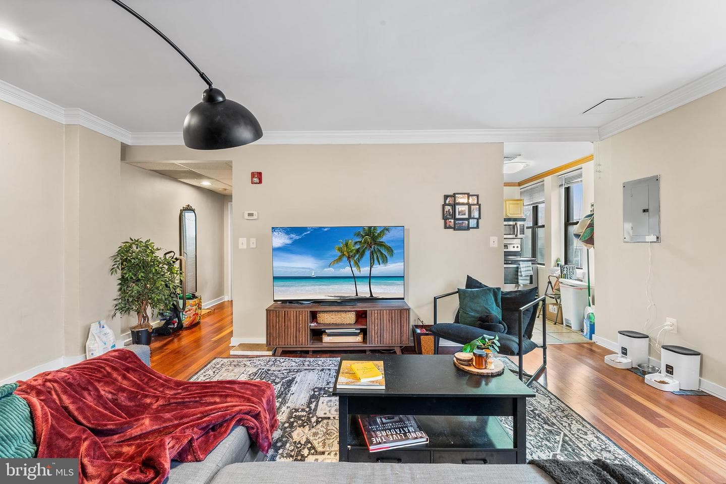 1939 Chestnut Street #2d photo 5