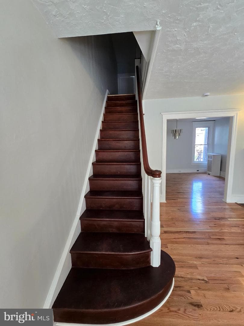 517 E Cheltenham Avenue photo 5