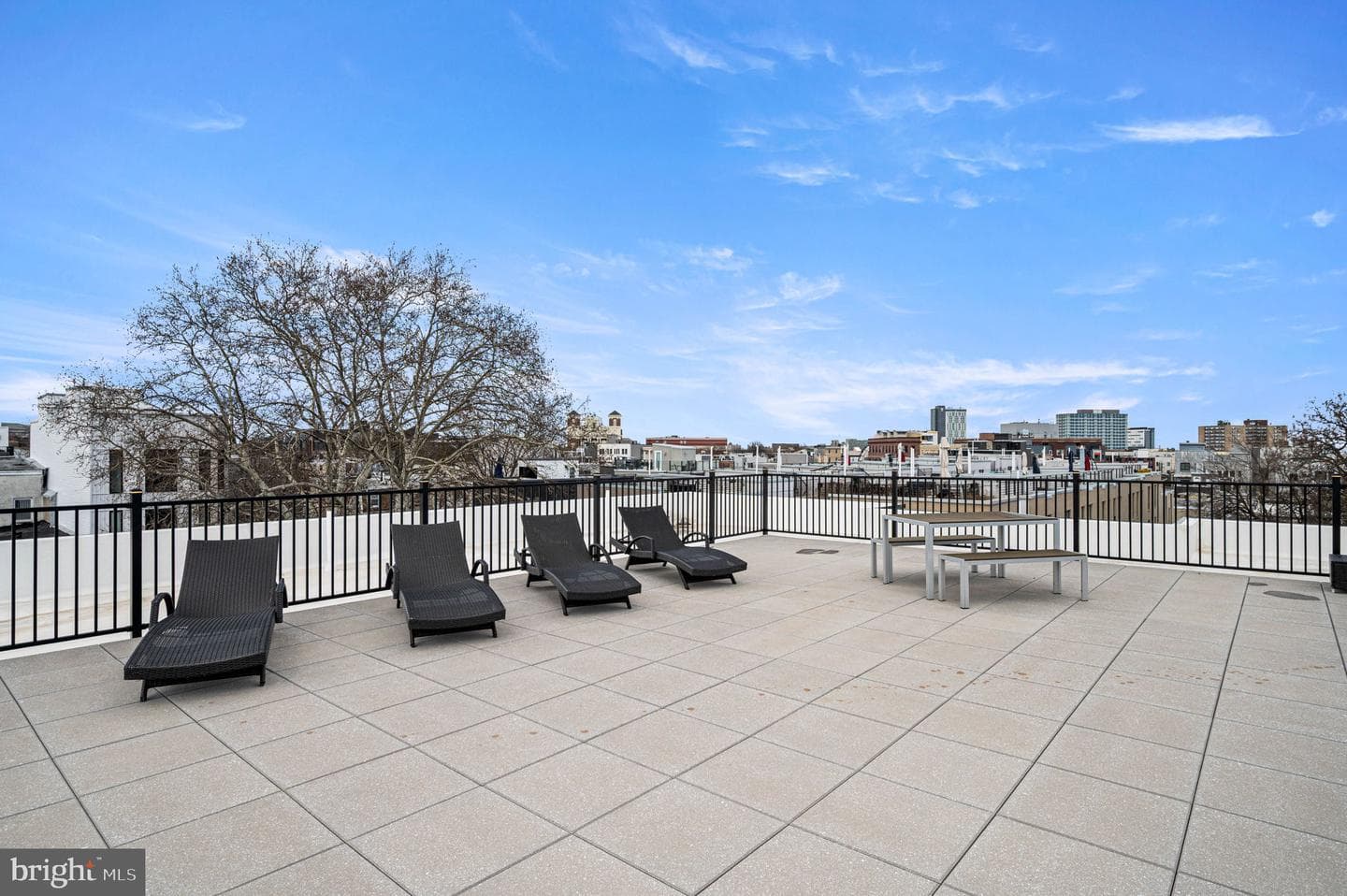 1723 Francis Street #4d photo 22