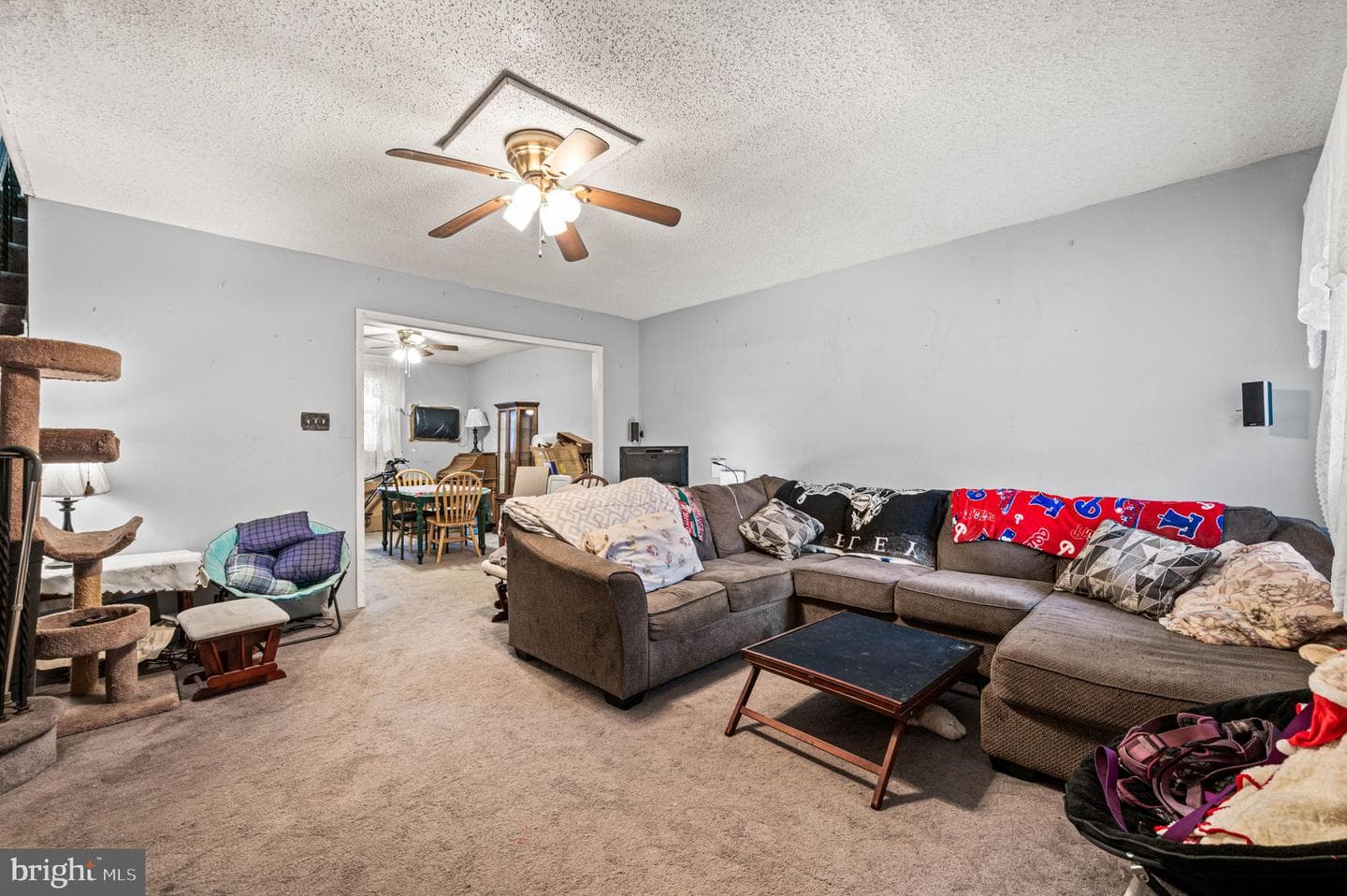 1127 Overington Street photo 5