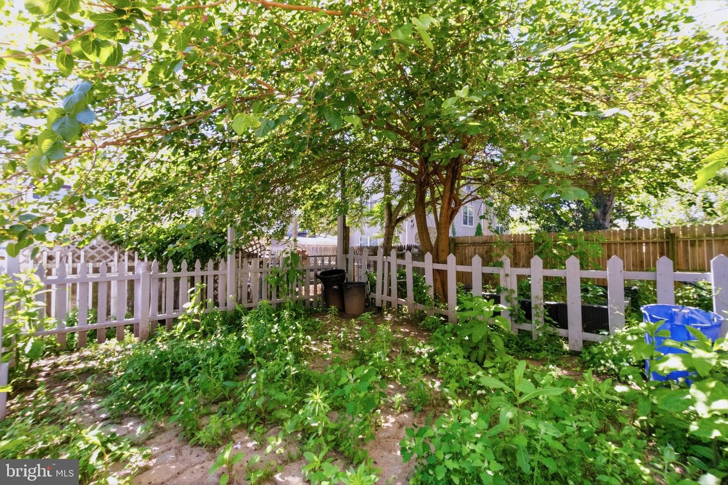 147 Green Lane photo 14
