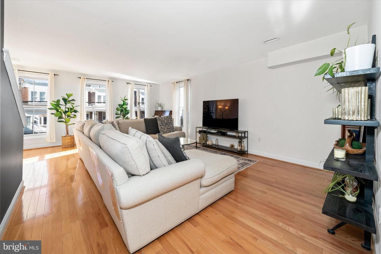 4611 Pechin Street photo 13
