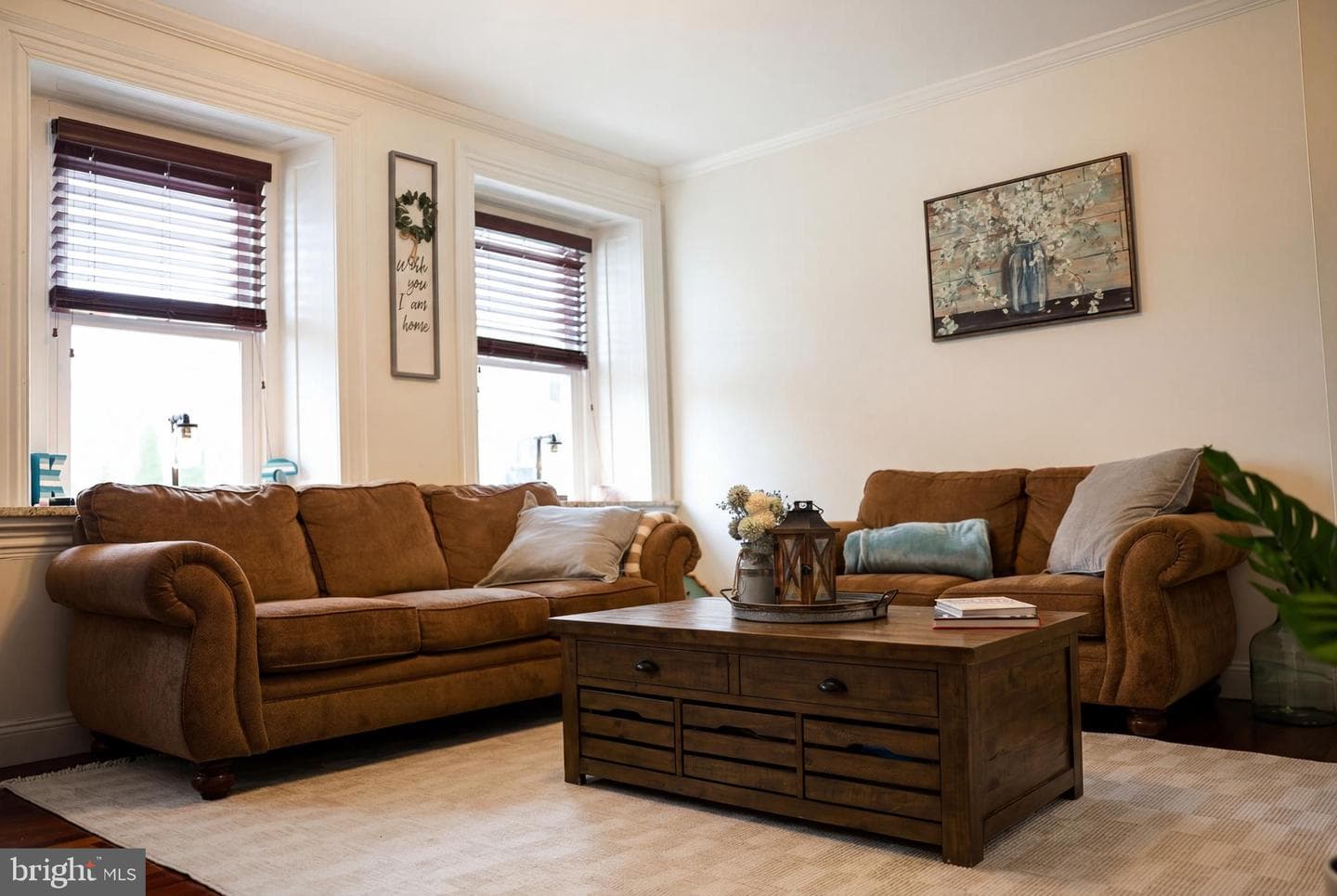204 Dawson Street photo 6