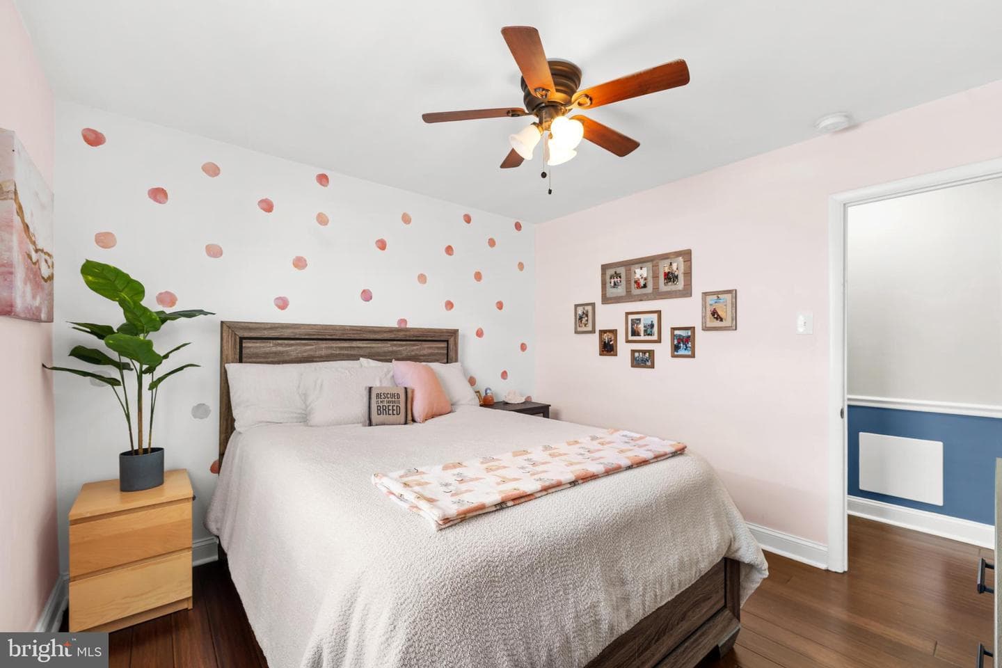 753 Claire Road photo 23
