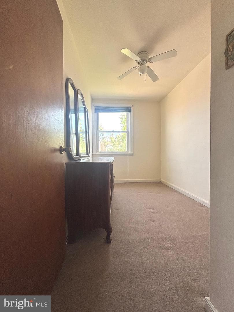 229 Stearly Street photo 21