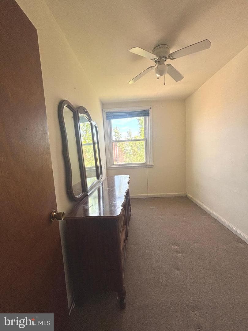 229 Stearly Street photo 22