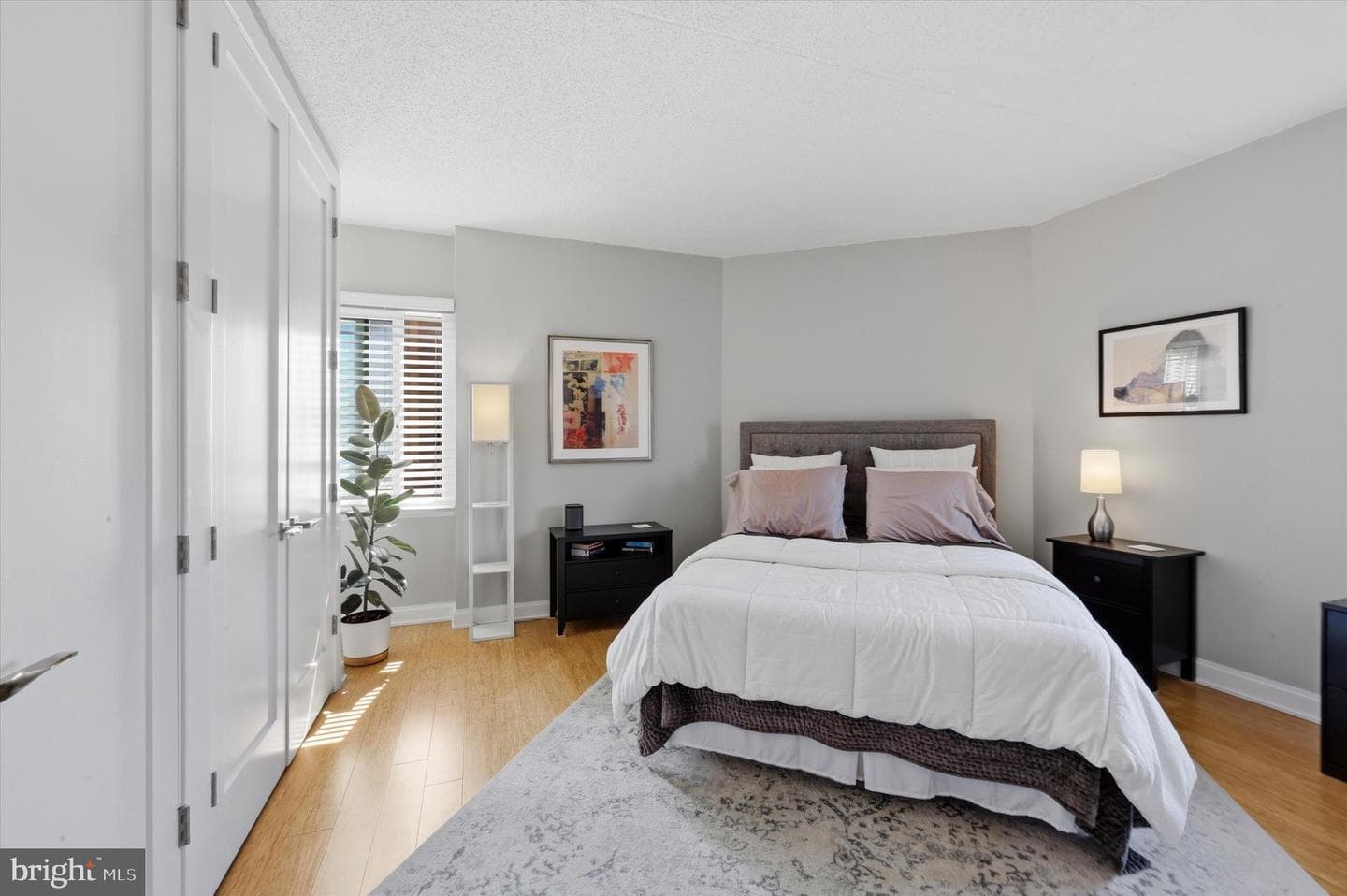 2301 Cherry Street #4a photo 19